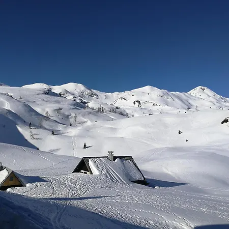 Apartma Pri Hrvatu 公寓 博希尼