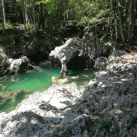 Апартаменты Apartma Pri Hrvatu *