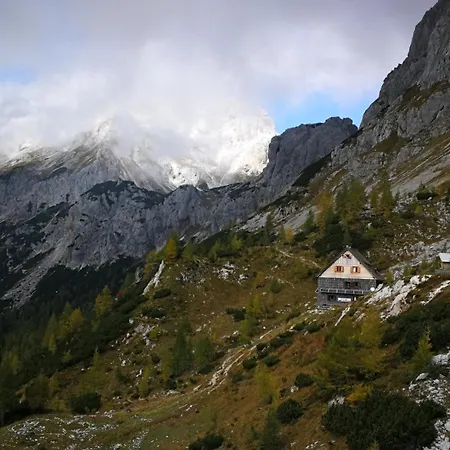 公寓 Apartma Pri Hrvatu 博希尼