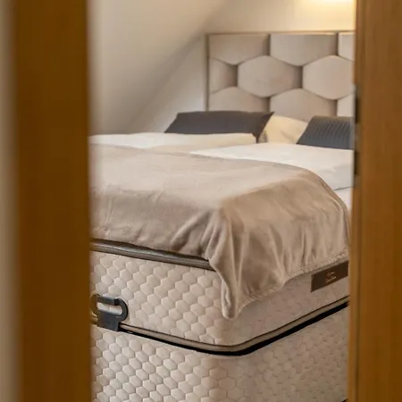 Apartma Pri Hrvatu * 博希尼