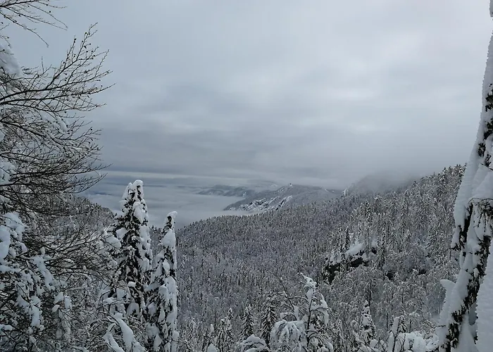 Apartma Apartma Pri Hrvatu