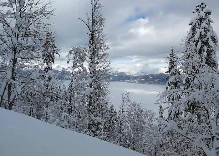 Apartma Pri Hrvatu *